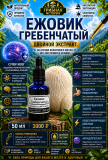 Жидкий экстракт Ежовика 