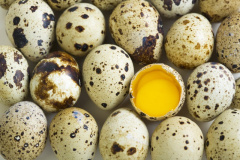 Пeрепелиные яйца
