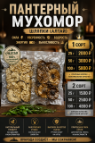 Пантерный Мухомор Алтай 2 сорт 