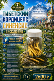 Кордицепс Синенсис 