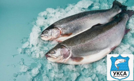 свежая непотрошеная 