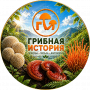 Грибная история - натуральные средства для Вашего здоровья. 