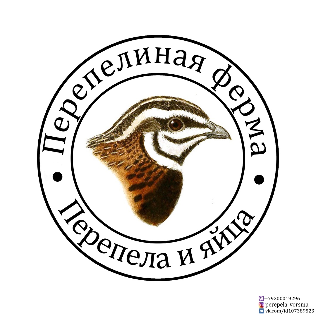 Перепелиная ферма 